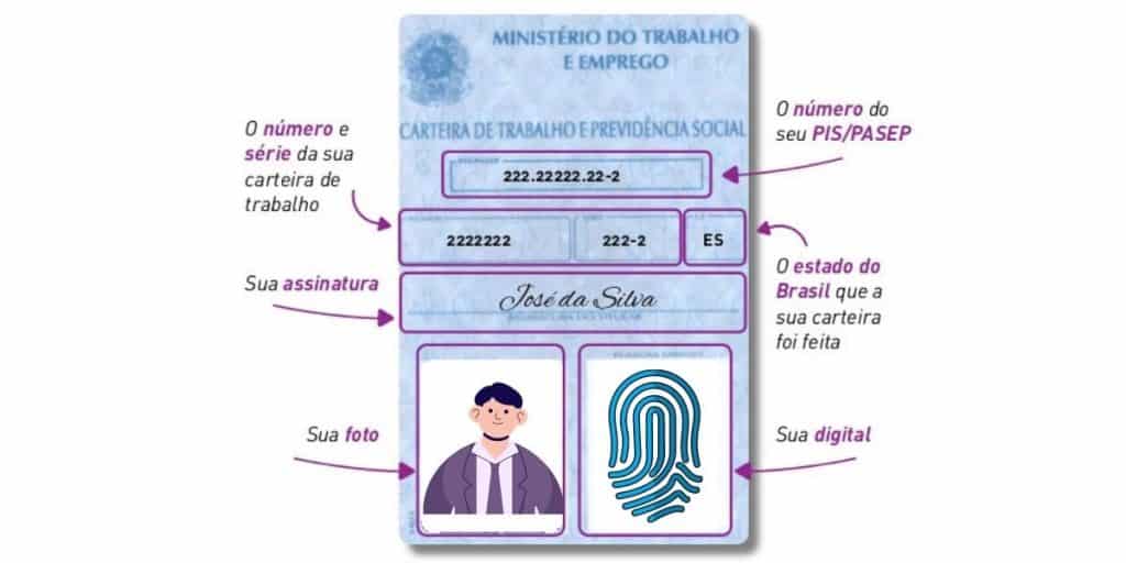 O Que é O Número Do Nis E Como Consultar 4137