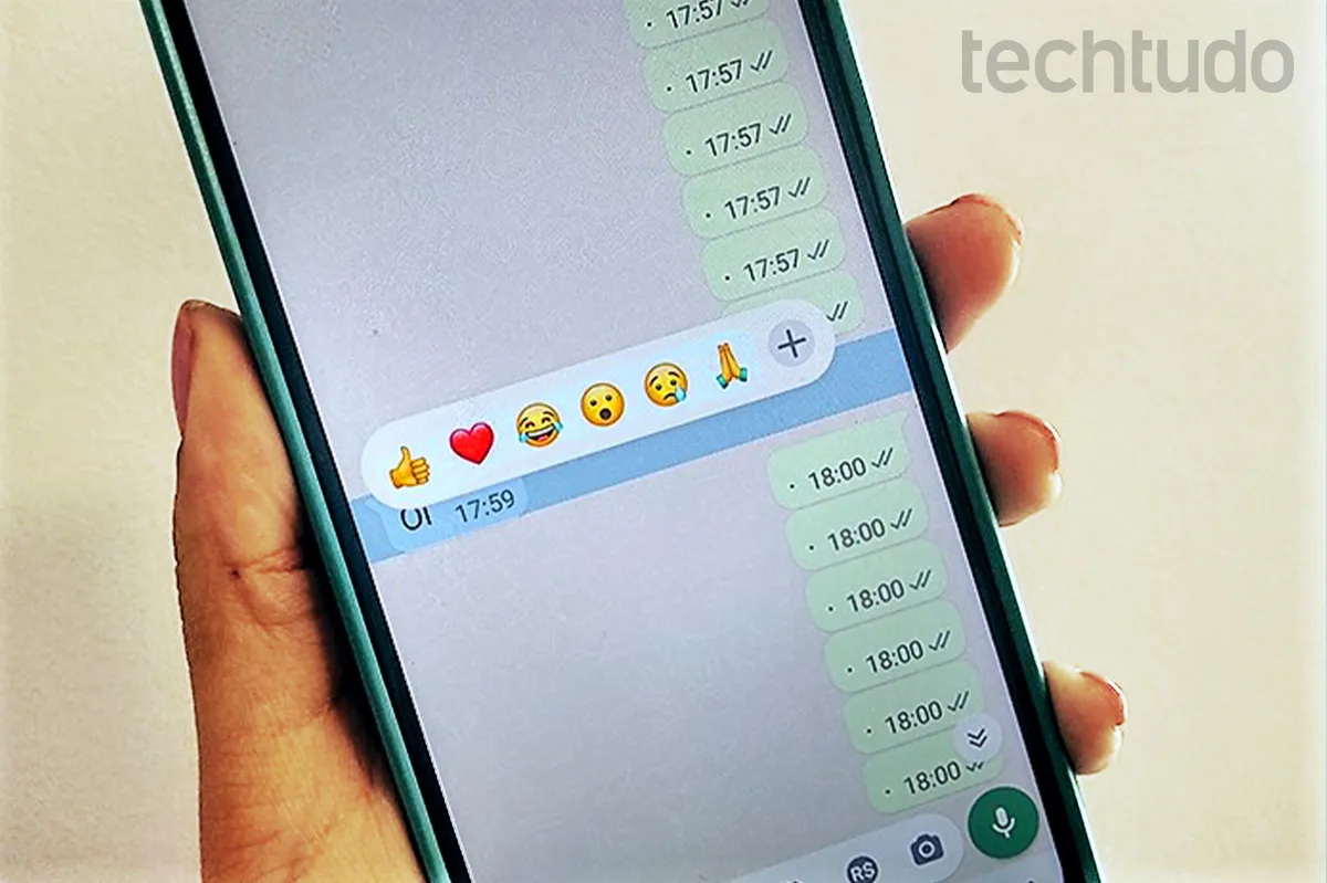 Privacidade: este serviço do WhatsApp dificulta prints na conversa