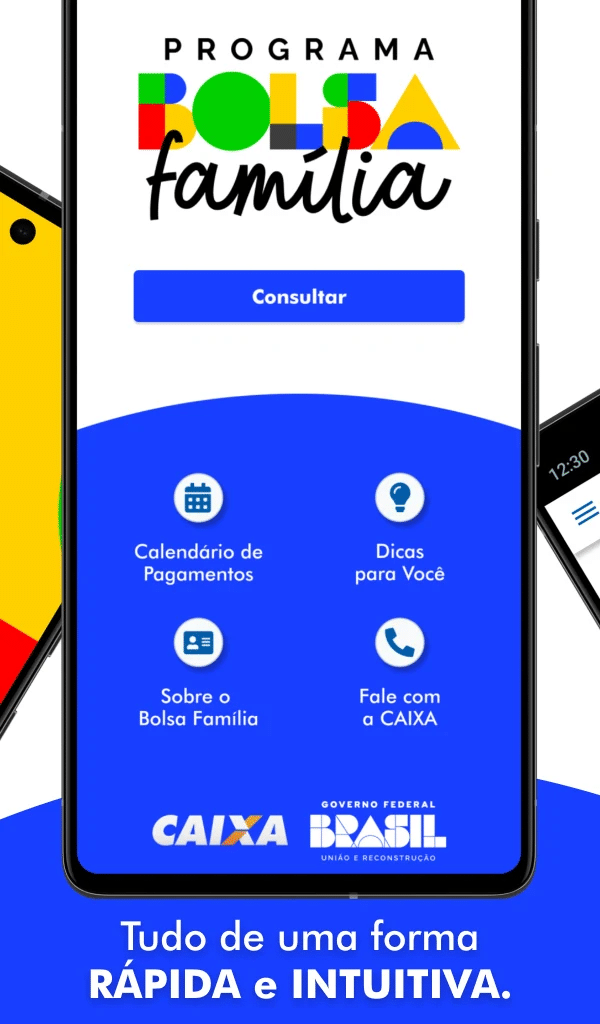 Identidade Visual Do App Do Bolsa Família Atualizada