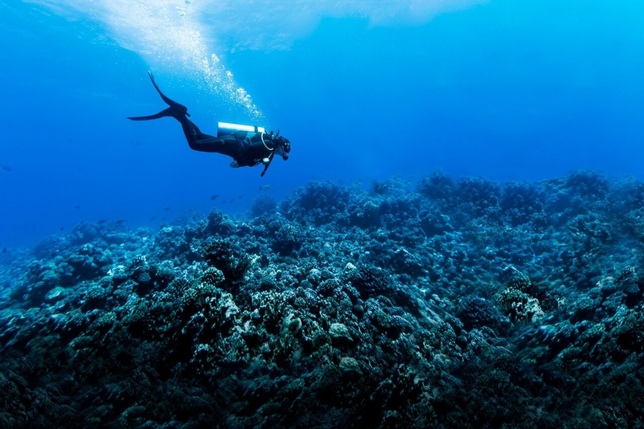Mergulhadores revelam a profundidade máxima que um ser humano pode sobreviver no mar Mergulhadores revelam a profundidade máxima que um ser humano pode sobreviver no mar