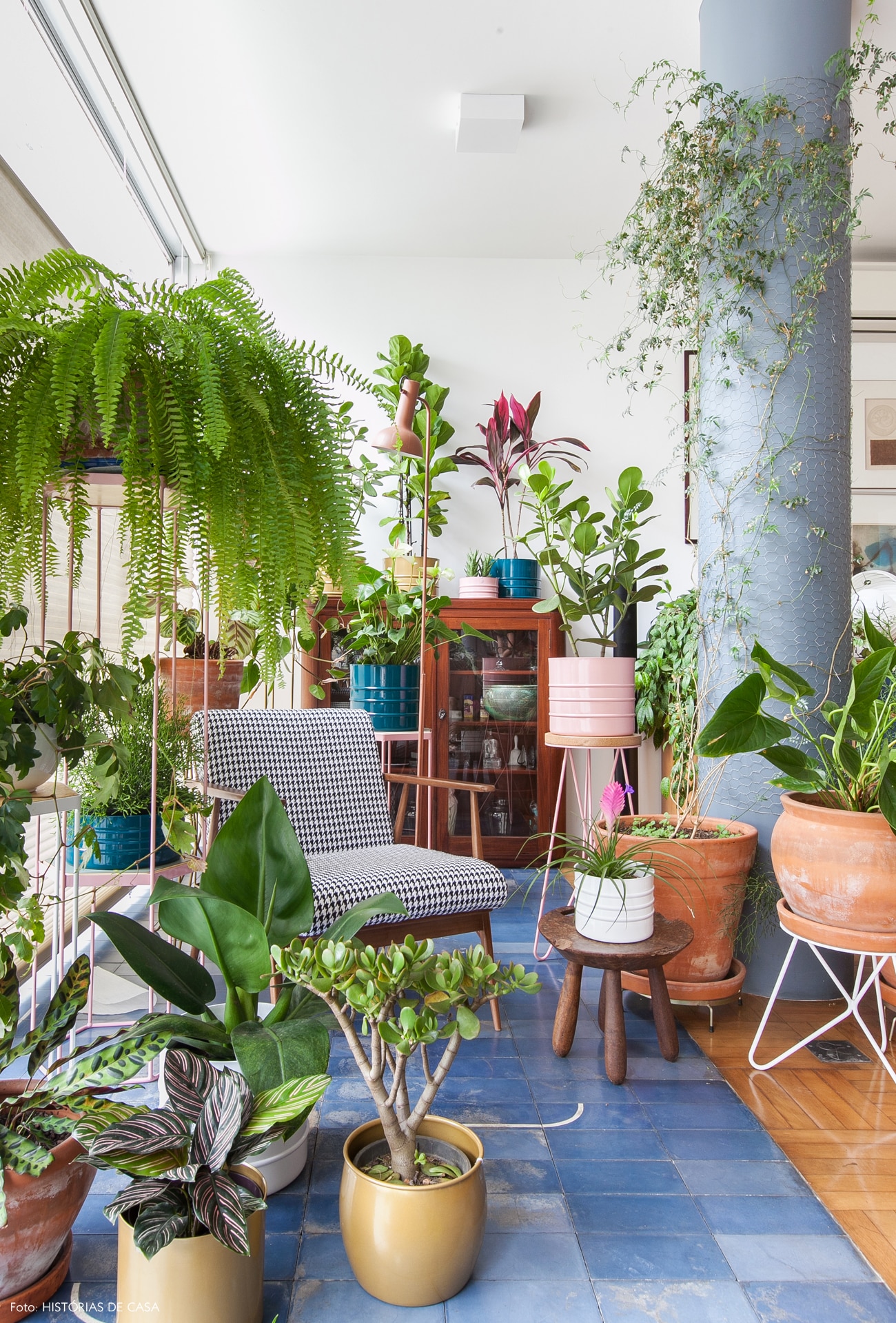 5 plantas fáceis de cuidar para se ter em casa