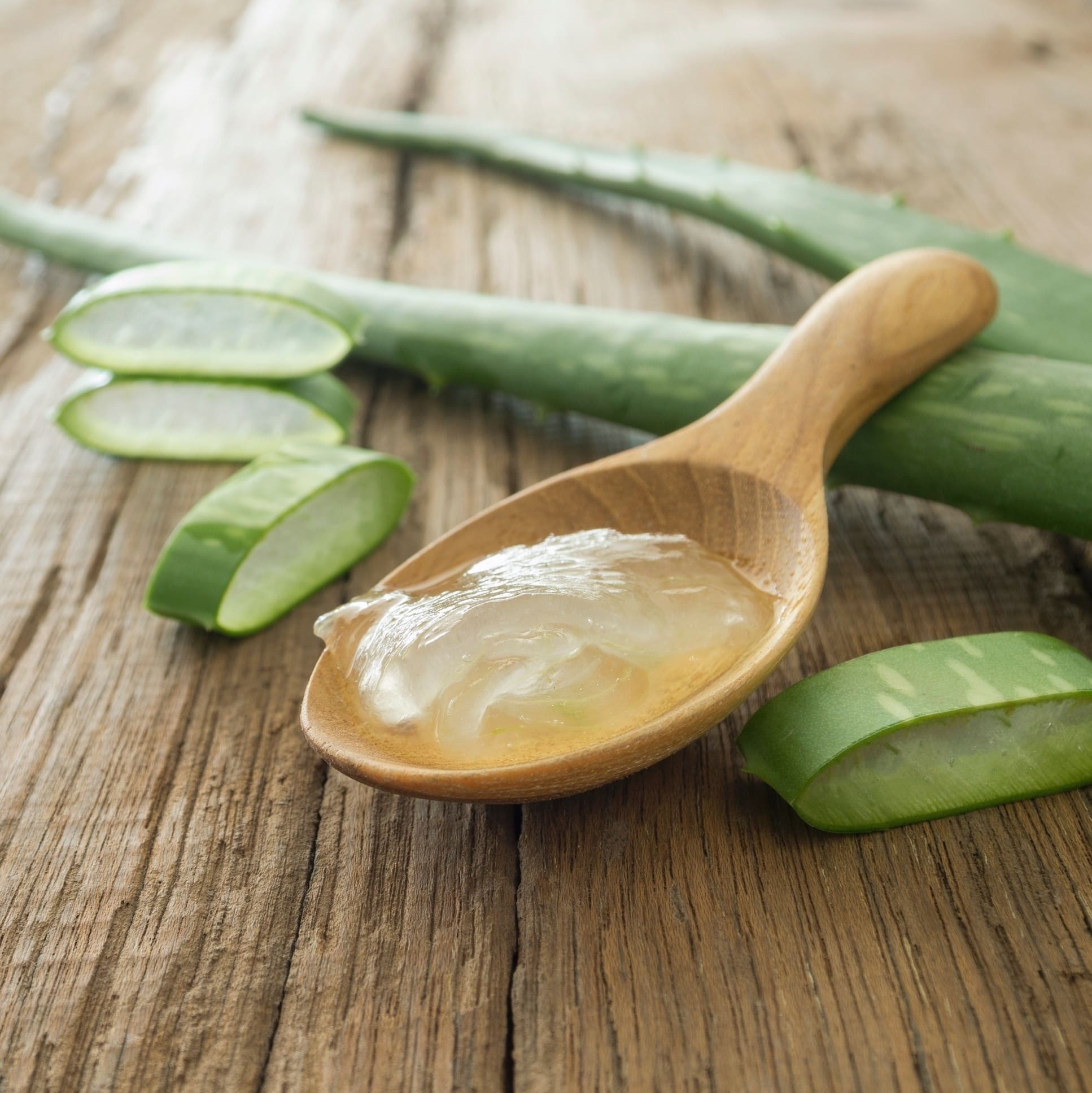 Veja 10 poderosos benefícios da aloe vera para sua pele e cabelo!