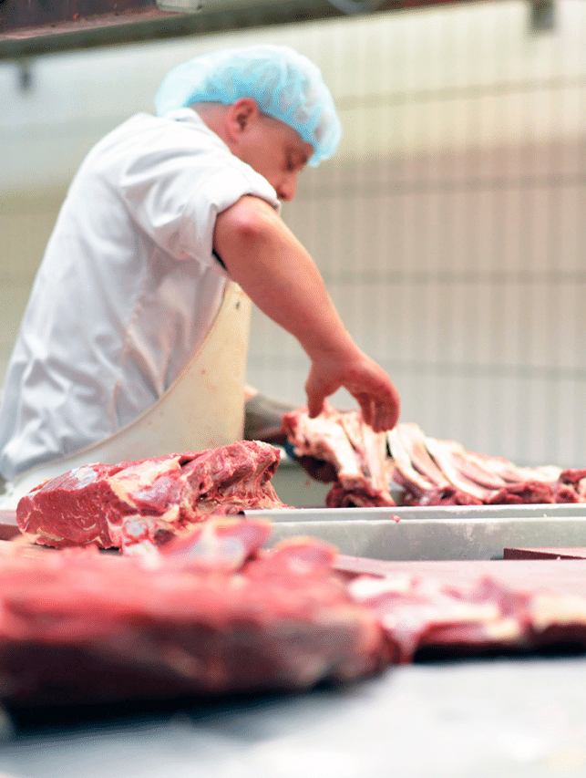 Governo Lula estuda criar o programa “vale carne” para famílias pobres