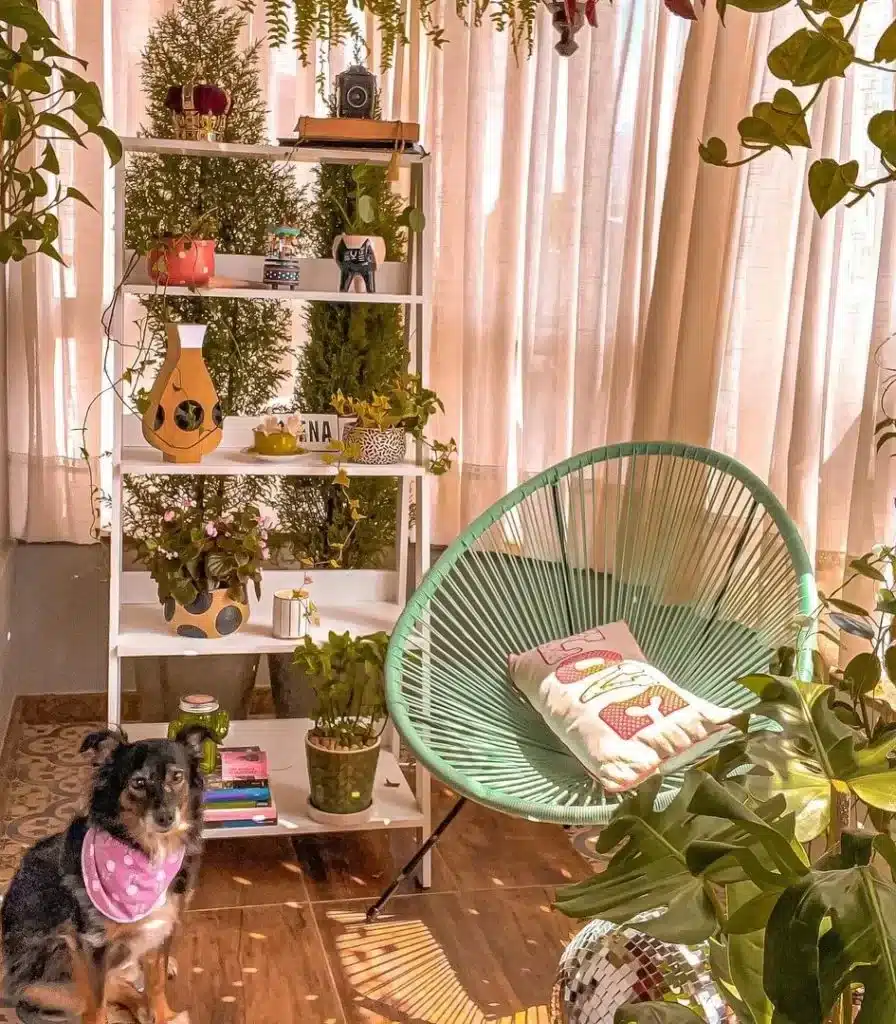 7 plantas para energizar e decorar a sua casa
