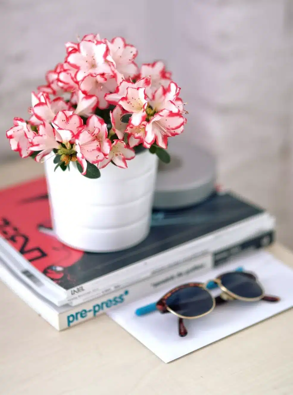 10 flores perfumadas que transformarão sua casa