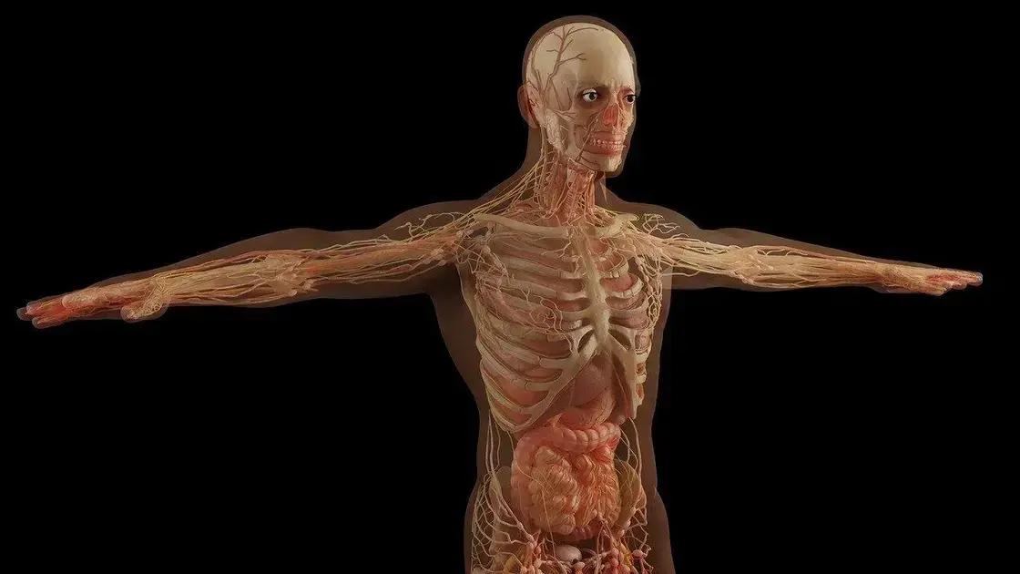 Qual parte do corpo que não recebe sangue? Apenas a córnea?