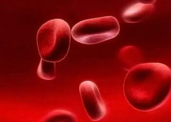 Quantos litros de sangue tem no corpo humano?