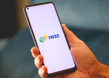 Código 1163 INSS: quais os direitos?