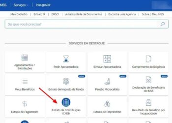 Como emitir extrato CNIS e o que significa