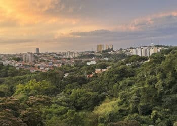 Pensando em mudar de endereço? Essa cidade foi eleita a mais segura do Brasil em 2025 9 Pensando em mudar de endereço? Essa cidade foi eleita a mais segura do Brasil em 2025