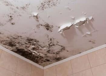 Como limpar mofo do teto do banheiro de forma eficaz