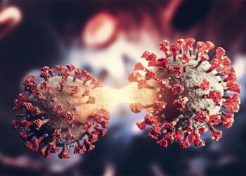 China alega em relatório que a Covid-19 pode ter se originado nos EUA 12 China alega em relatório que a Covid-19 pode ter se originado nos EUA