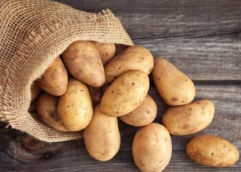 Batata inglesa: O segredo para memória afiada e corpo saudável