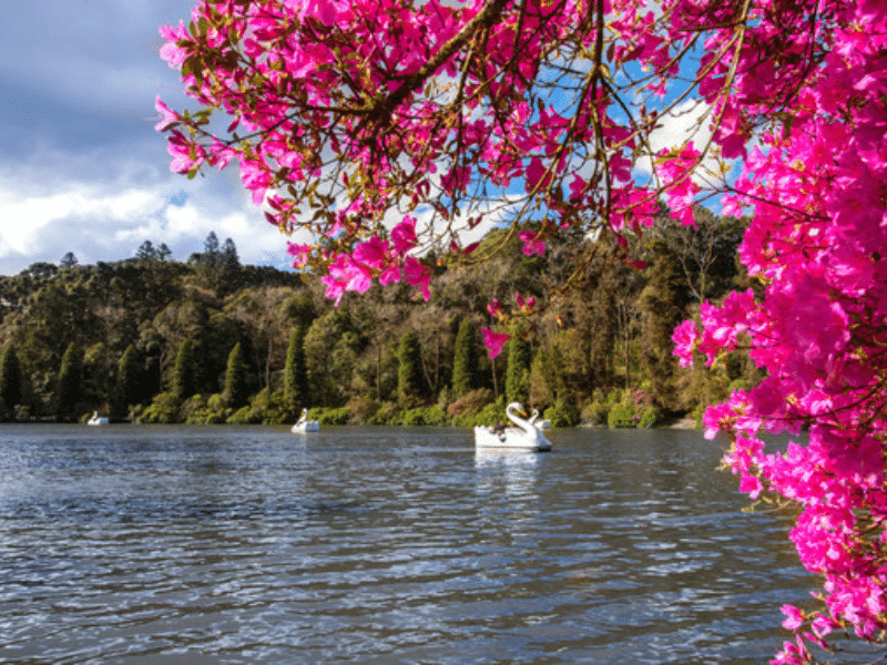 5 destinos brasileiros inesquecíveis para passar o Dia dos Namorados 2 Lago Negro