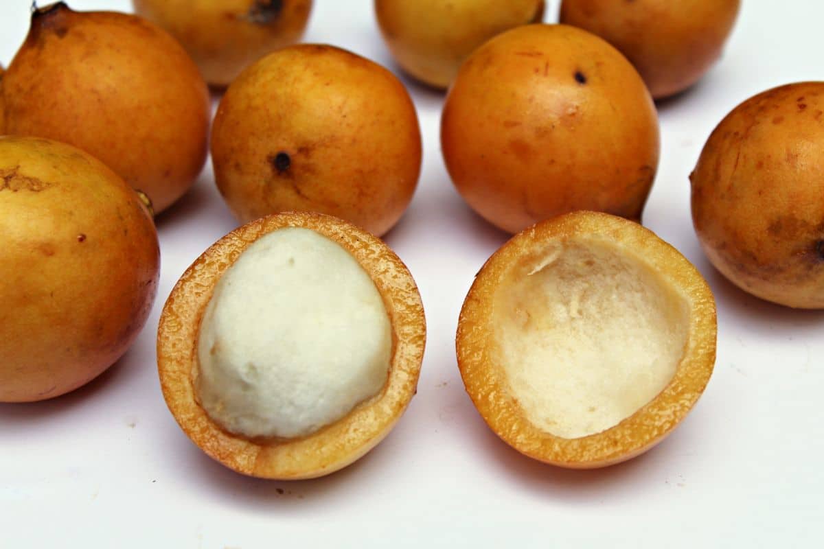 achachairu