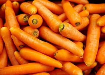 Os benefícios surpreendentes da cenoura para sua saúde 1 Os benefícios surpreendentes da cenoura para sua saúde