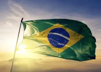 Troca de idioma? Brasil debate oficialização do "brasileiro" 12 Troca de idioma? Brasil debate oficialização do "brasileiro"