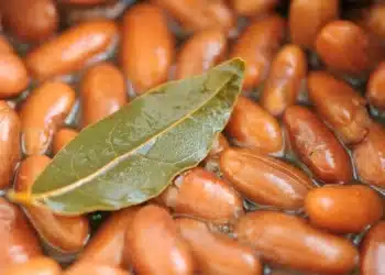 Além do feijão: Os benefícios e usos do louro na culinária 15 Além do feijão: Os benefícios e usos do louro na culinária