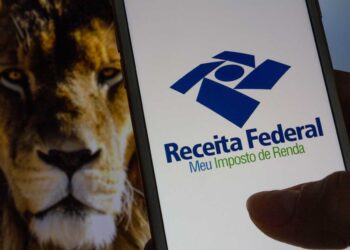 Imposto de Renda 2025: Como corrigir erros na declaração já enviada
