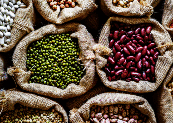 Por que alguns produtos agropecuários trazidos de outros países são barrados no Brasil? 5 Por que alguns produtos agropecuários trazidos de outros países são barrados no Brasil?