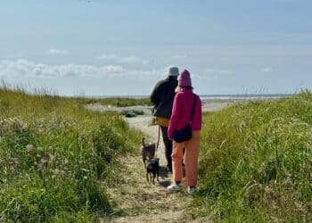 Estes são os estados mais românticos do Brasil 10 Esses são os destinos mais românticos do Brasil