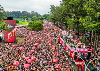 CARNAVAL 2026: Como evitar o “Bloco do Banheiro”