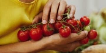 O PODER DO TOMATE: Muito além da salada